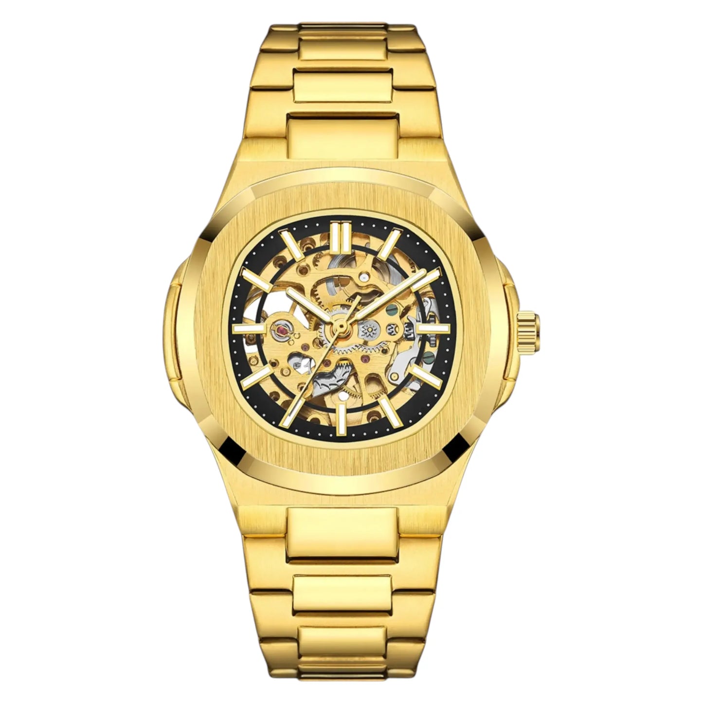 Vessallo Skeleton | Vessallo